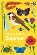 Cover image of book What to Look For in Summer by Elizabeth Jenner, illustrated by Natasha Durley